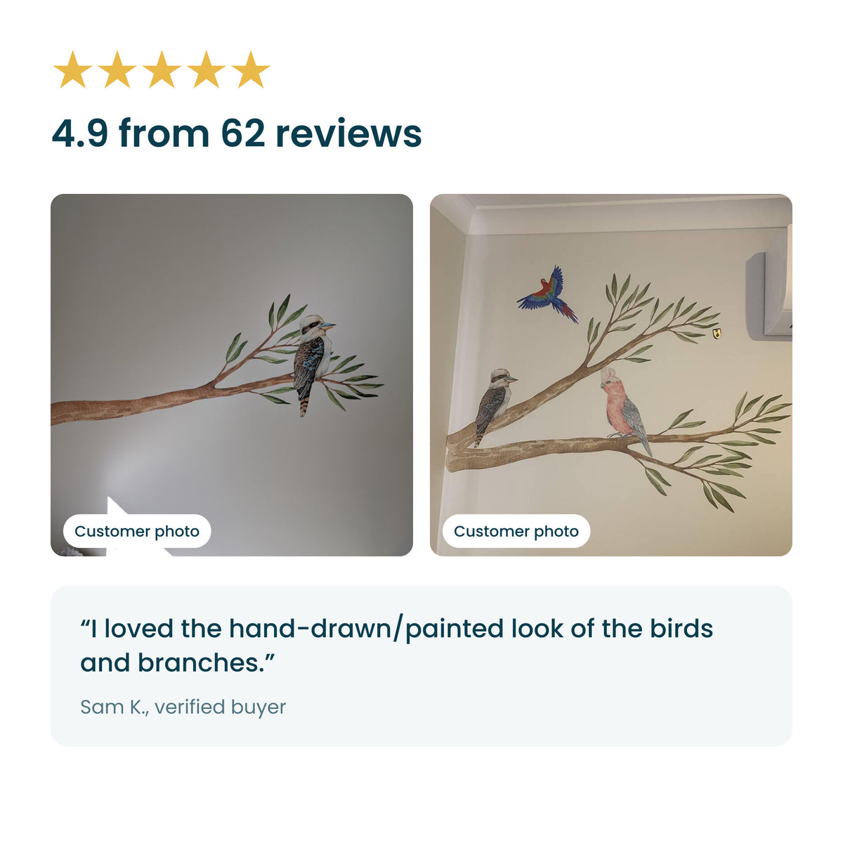 Rated 4.9 from 62 reviews, with two customer photos of the gum branch and bird decals on their walls