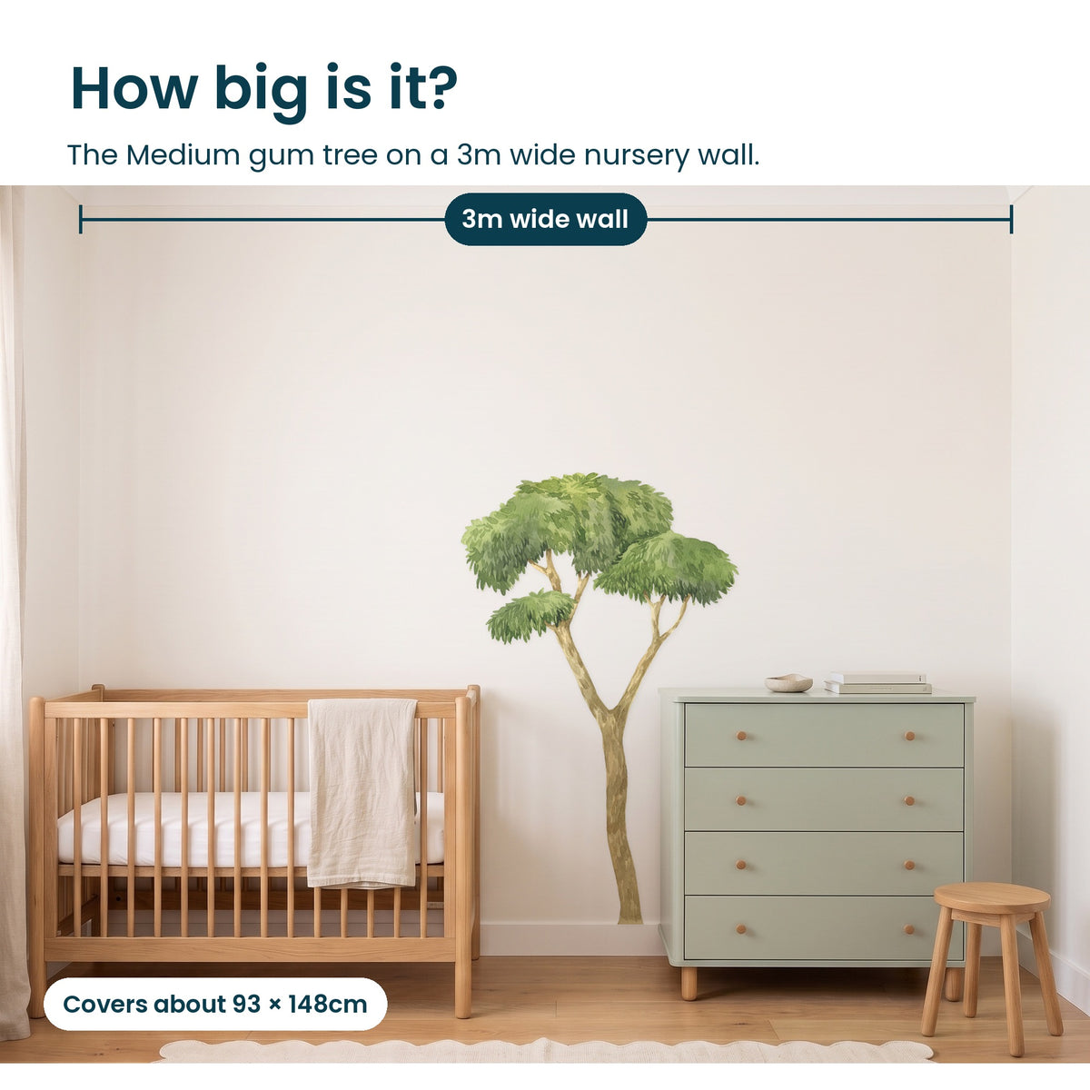 How big is the Medium gum tree on a 3m wide nursery wall