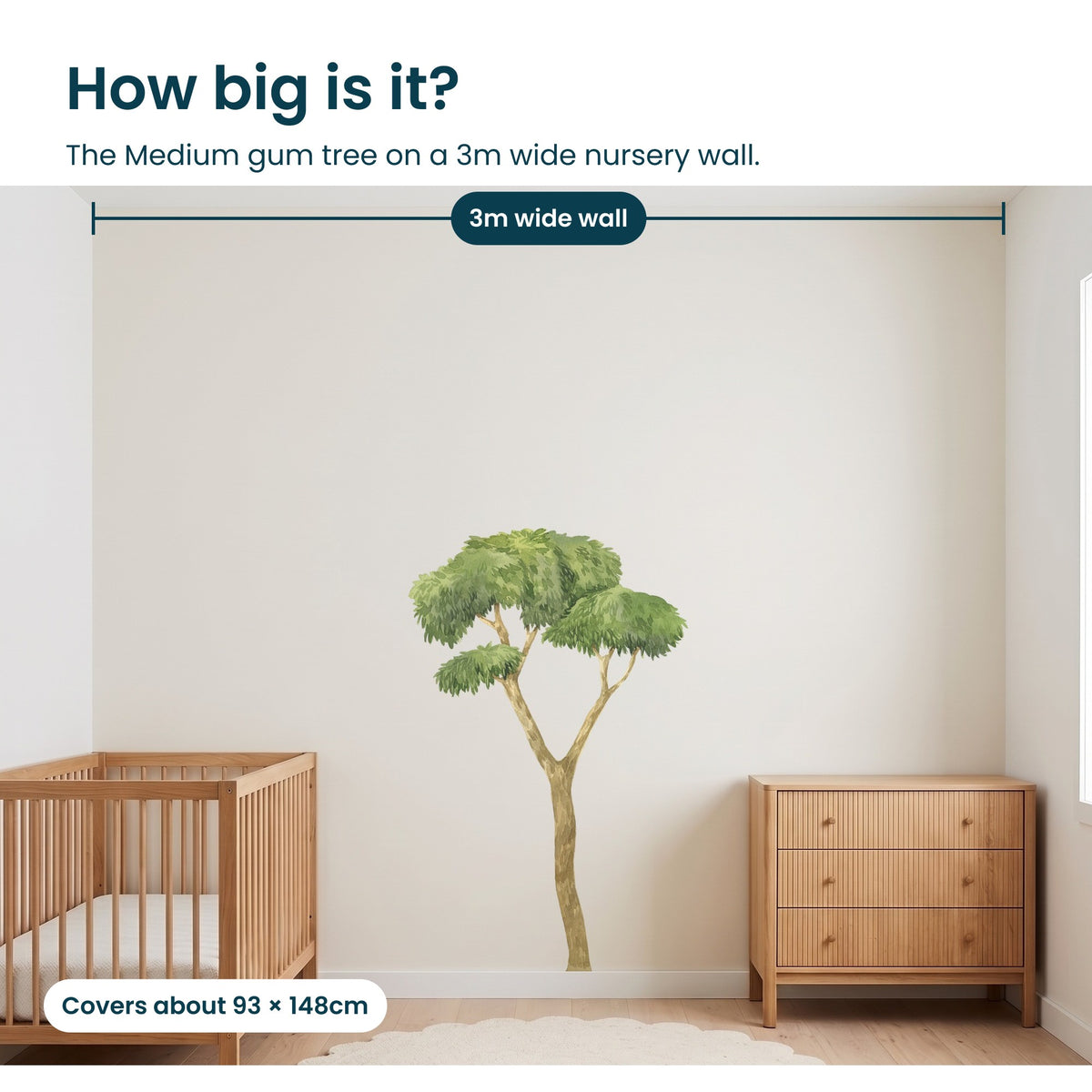 How big is the Medium gum tree on a real wall