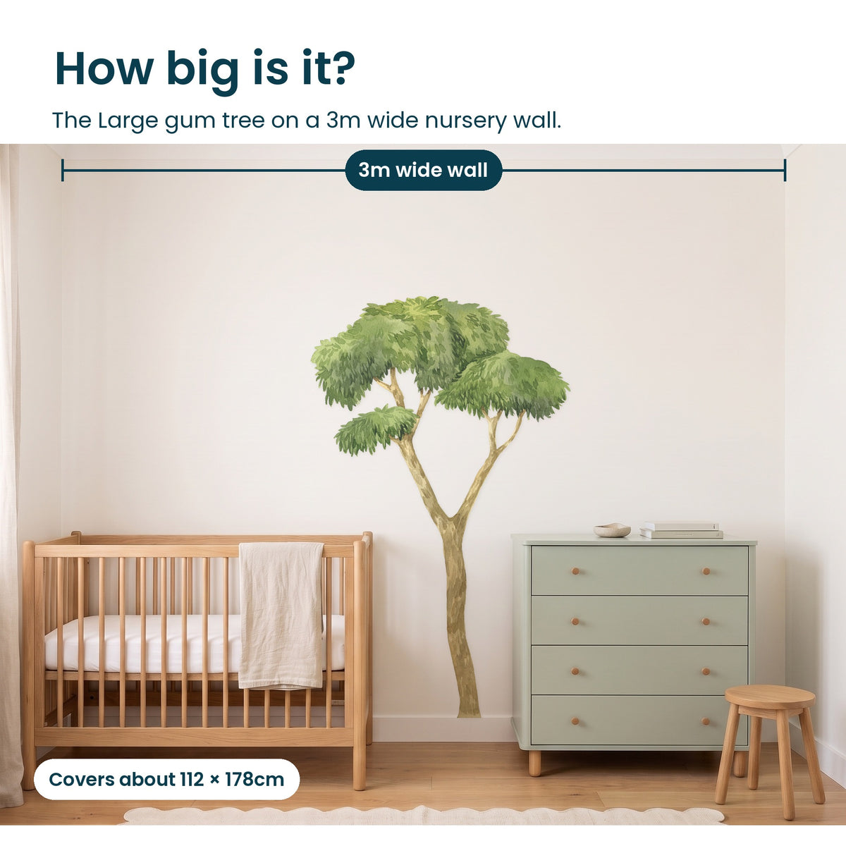 How big is the Large gum tree on a 3m wide nursery wall