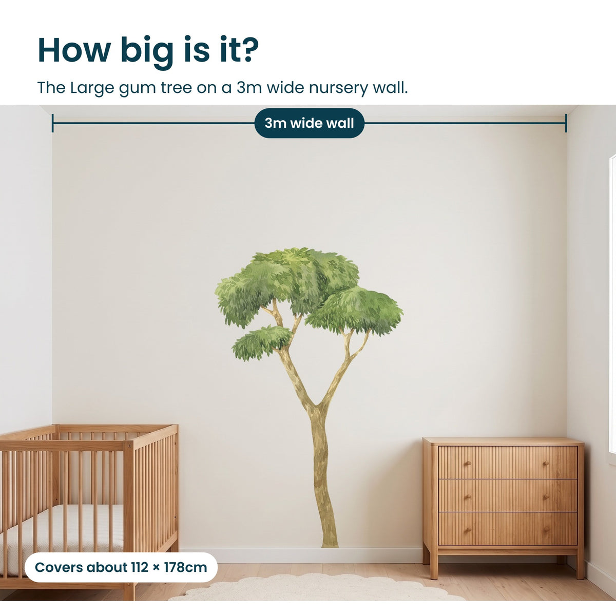 How big is the Large gum tree on a real wall
