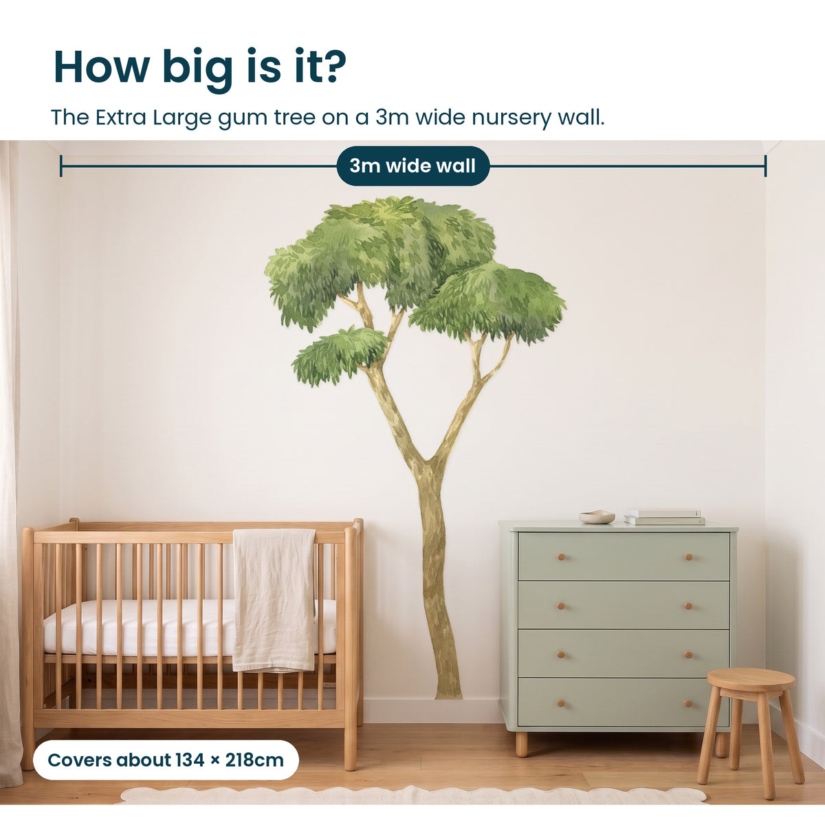 How big is the Extra Large gum tree on a 3m wide nursery wall