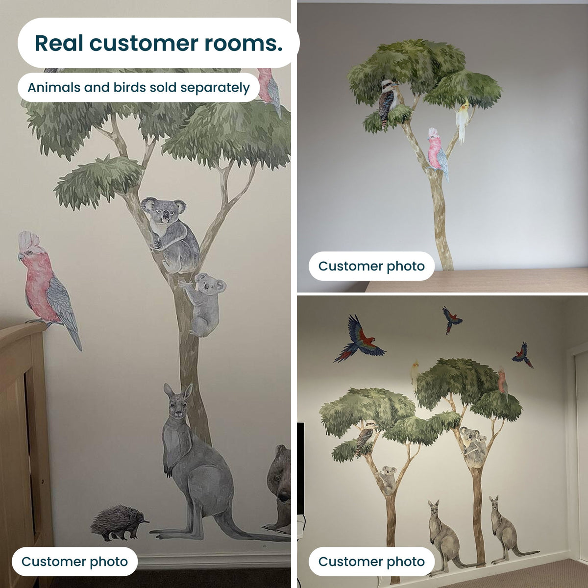 Gum tree decals in real customer rooms