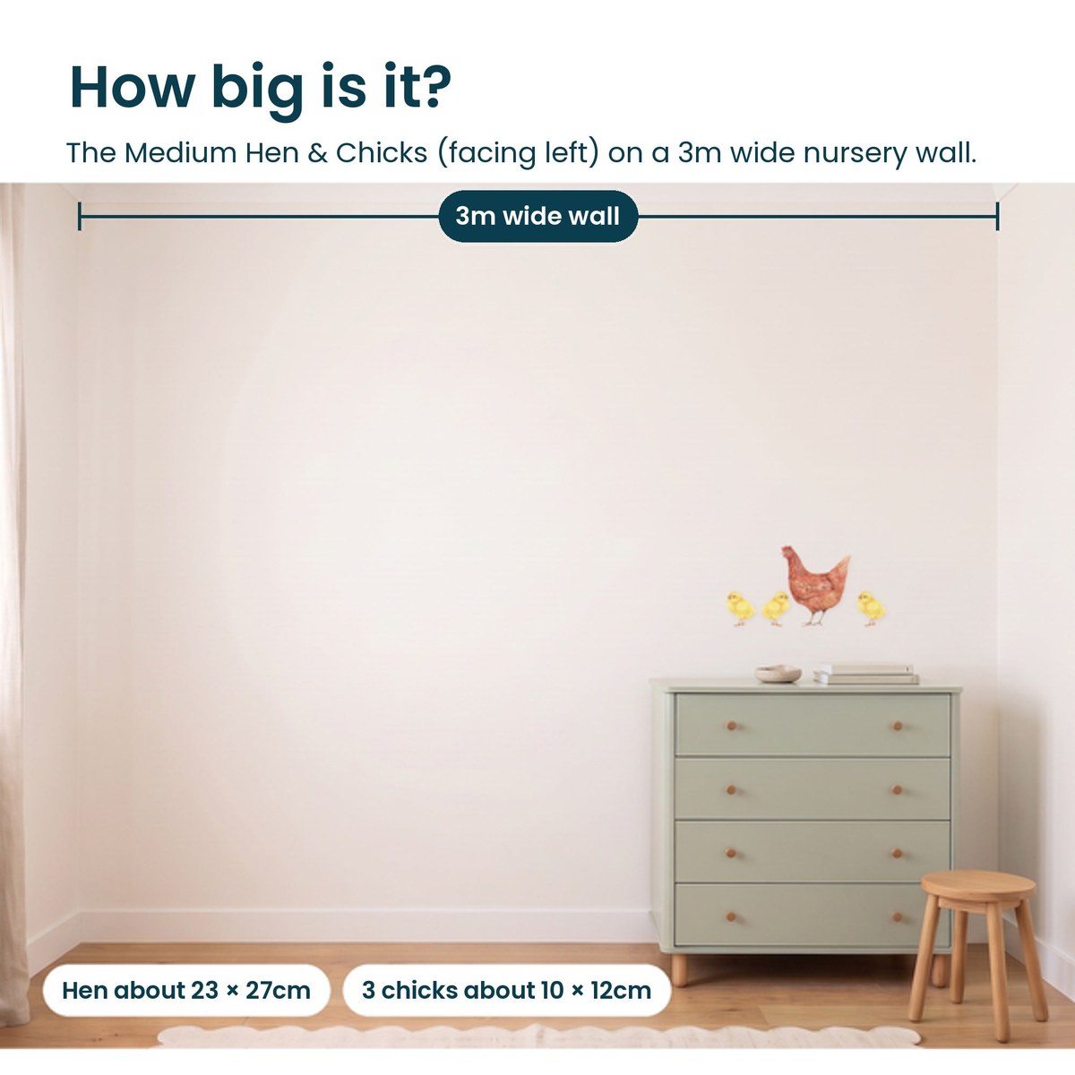 Medium hen and three chicks facing left shown to scale on a 3m nursery wall