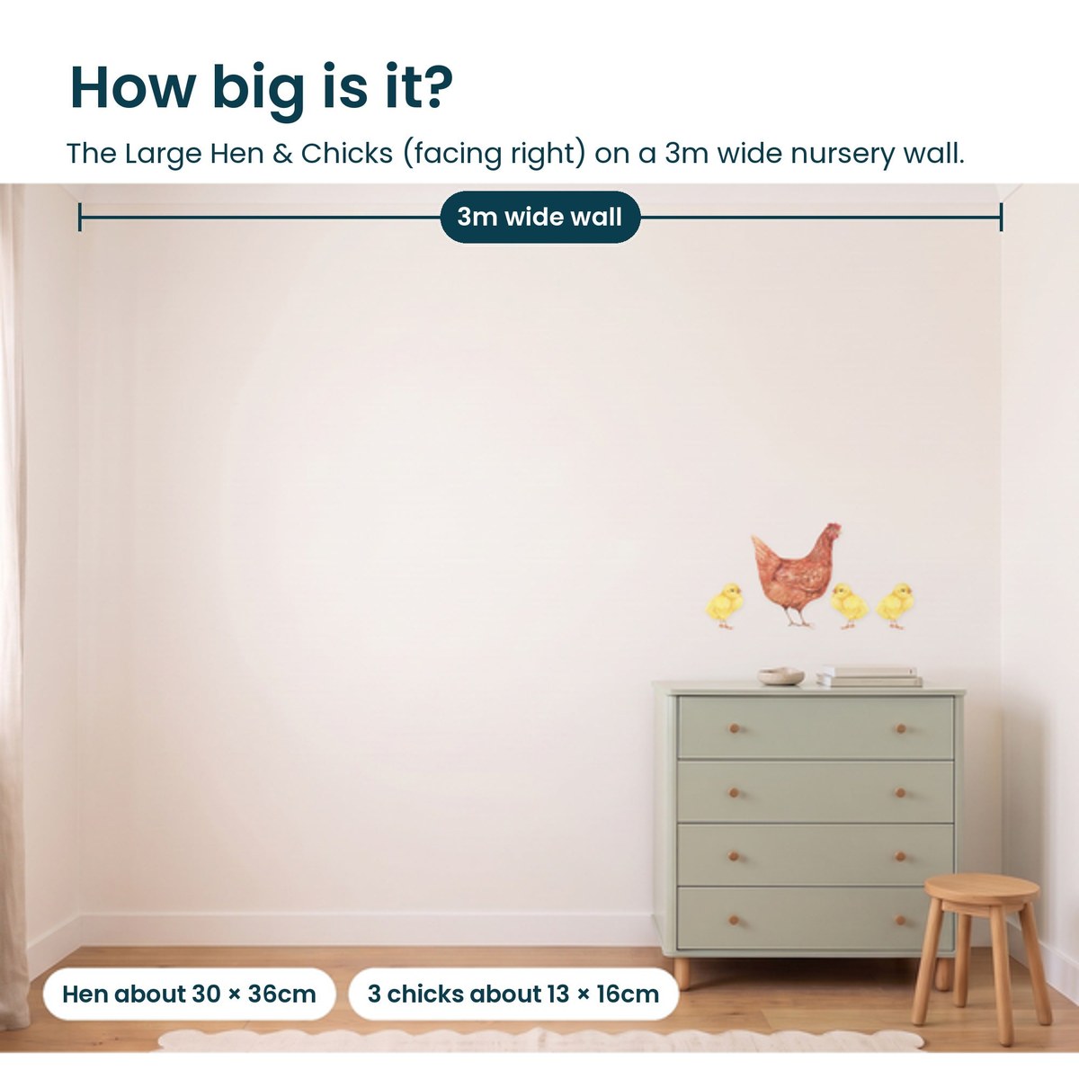 Large hen and three chicks facing right shown to scale on a 3m nursery wall