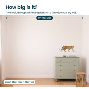 Removable Wall Decals 