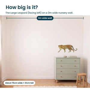 Removable Wall Decals 