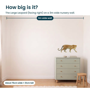 Removable Wall Decals 
