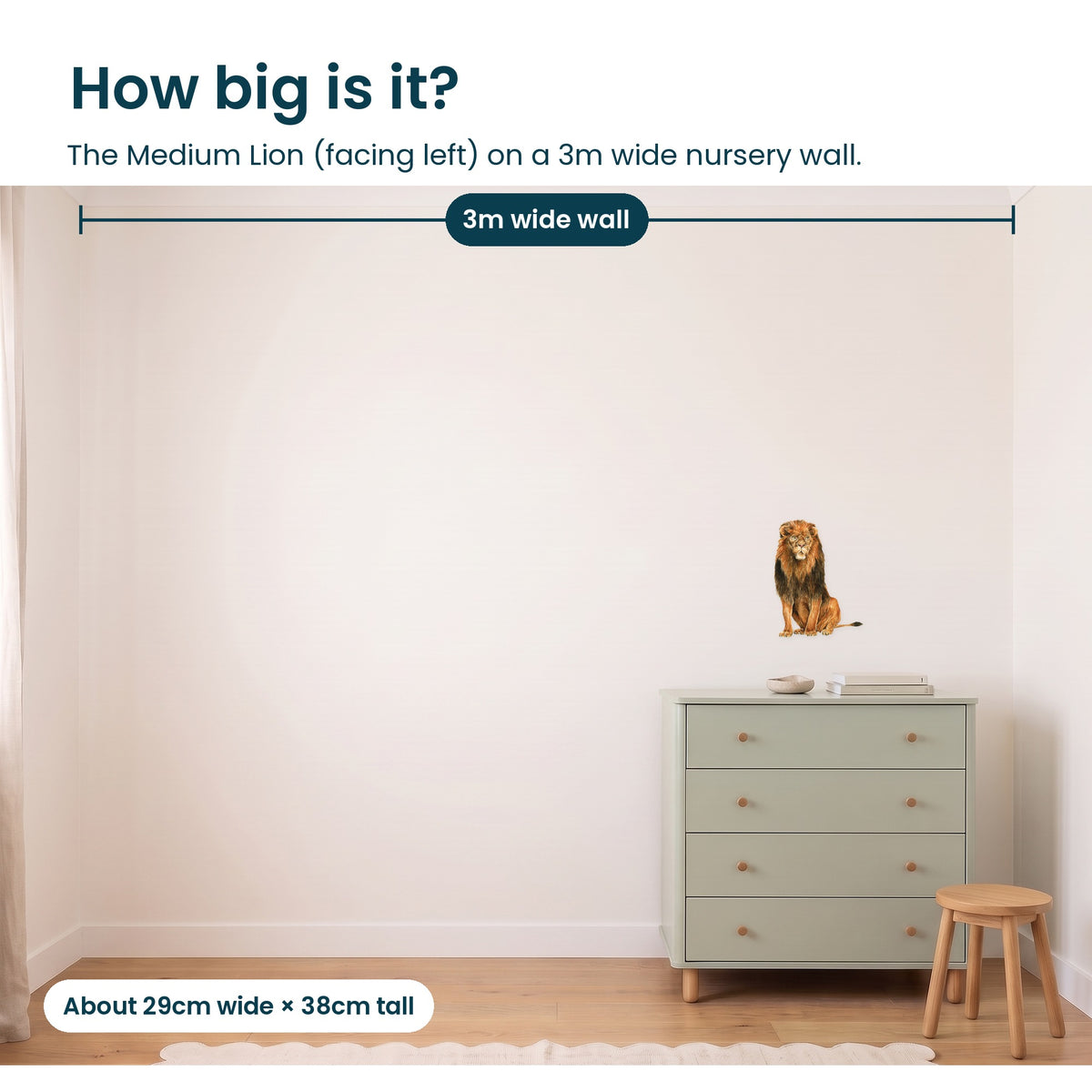 Medium lion facing left on a 3m nursery wall, to scale