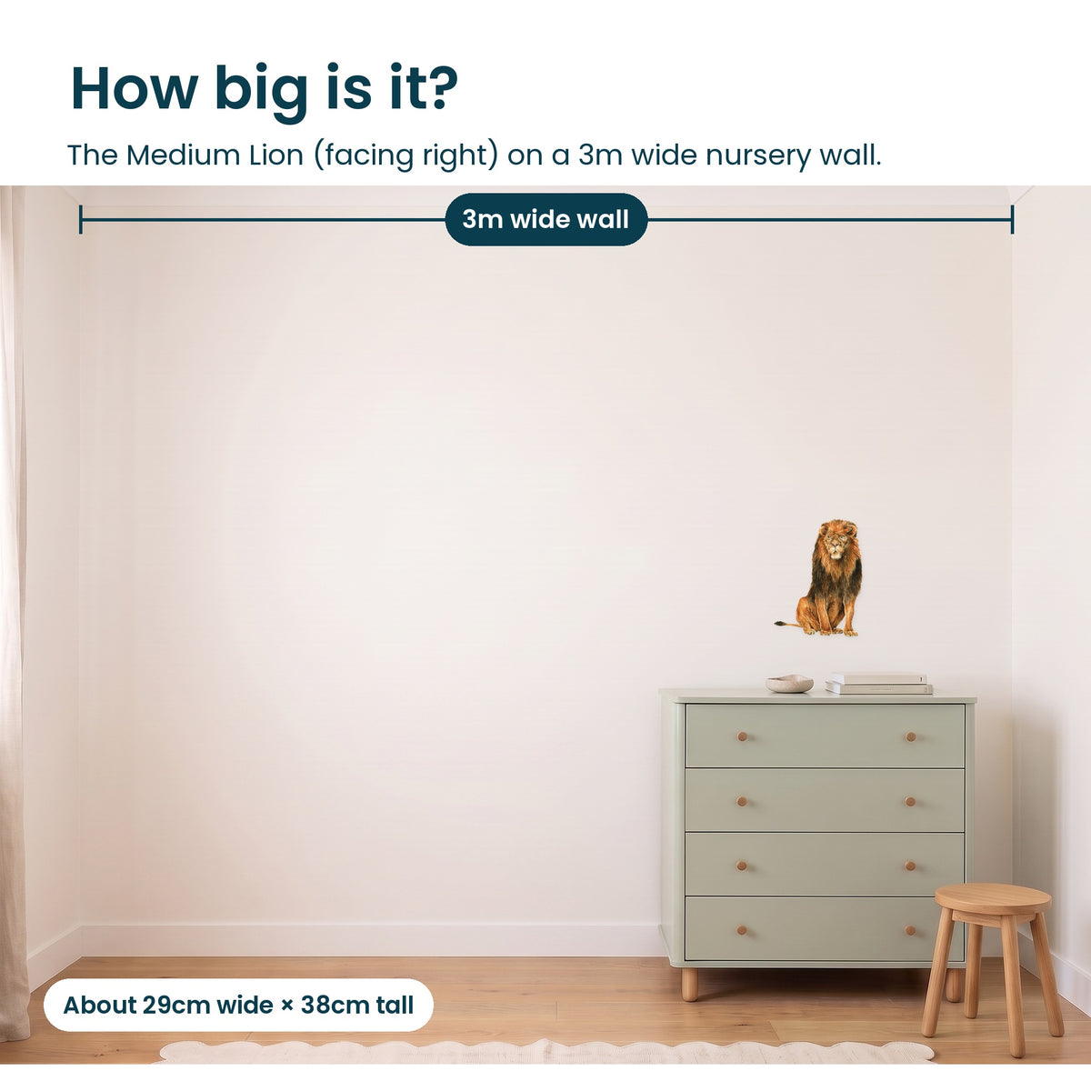 Medium lion facing right on a 3m nursery wall, to scale