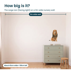 Removable Wall Decals 
