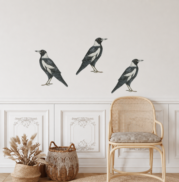 Three magpie wall decals on a light-colored wall with a chair and decorative items below.