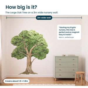 Removable Wall Decals 