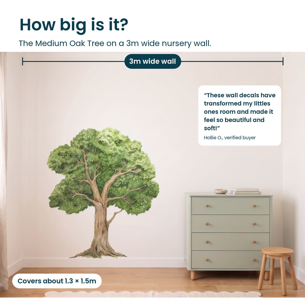 How big is the Medium Oak Tree on a 3m wide nursery wall