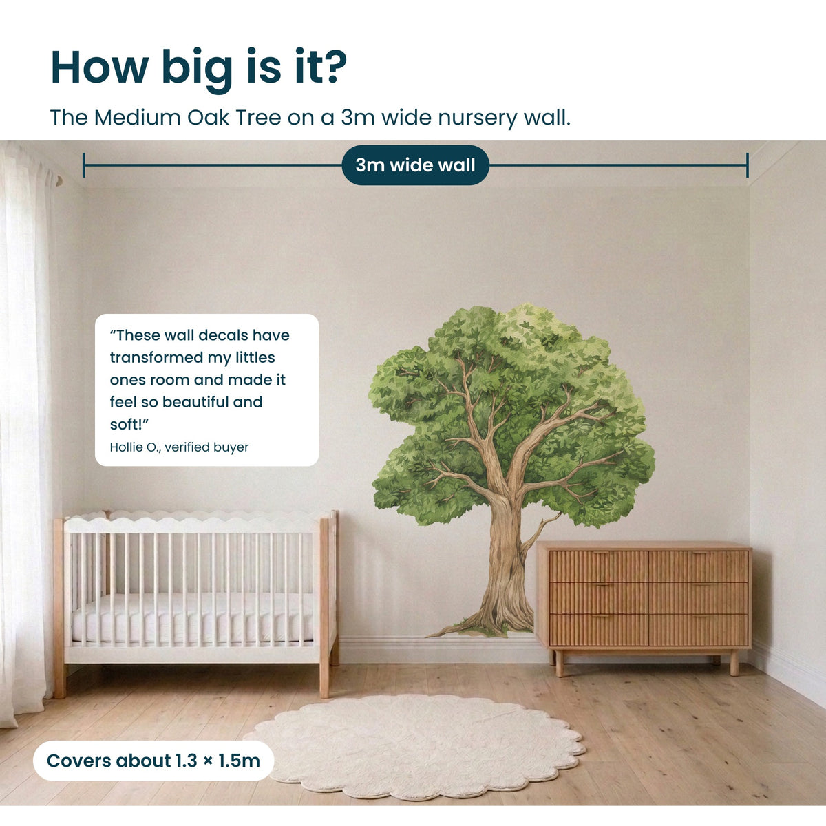How big is the Medium Oak Tree: shown to scale on a wall