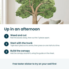 Removable Wall Decals 