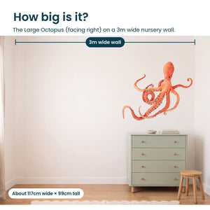 Removable Wall Decals 