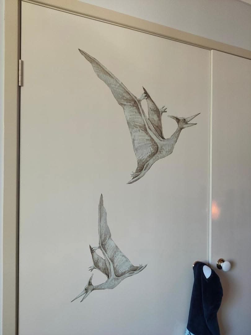 Customer photo of pterodactyl decals applied to a wardrobe door