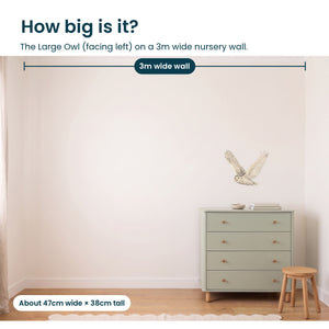 Removable Wall Decals 
