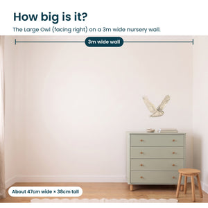 Removable Wall Decals 