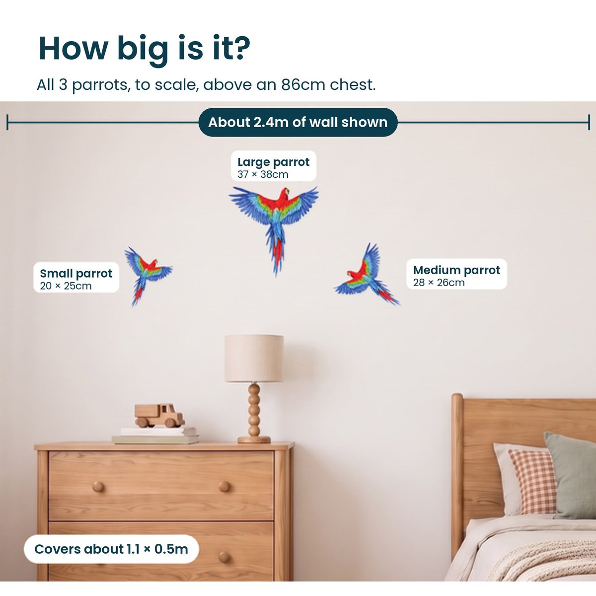 How big are the parrot decals on a bedroom wall