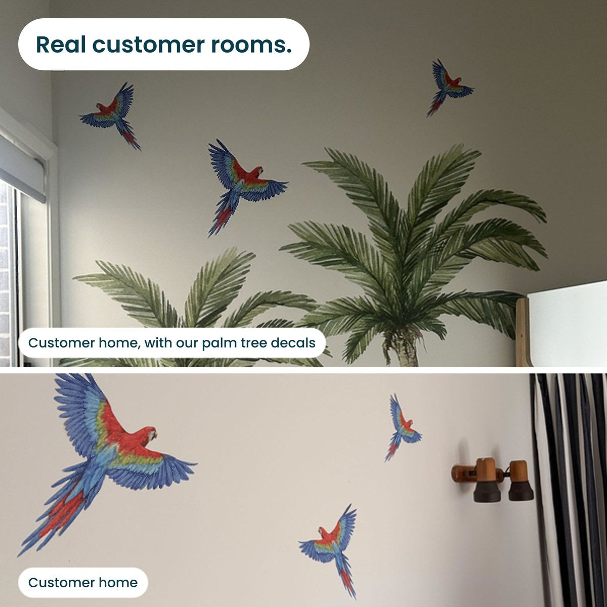 Real customer rooms with parrot decals