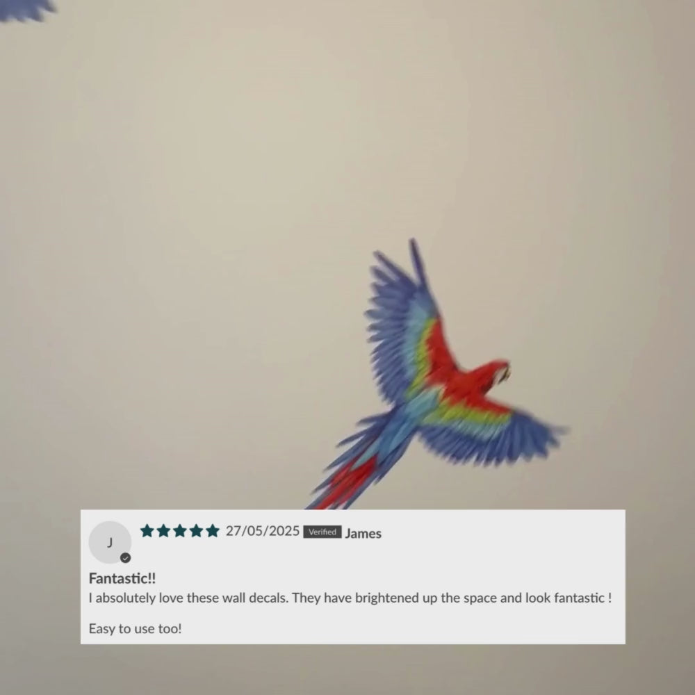Load video: Parrot Wall Decals
