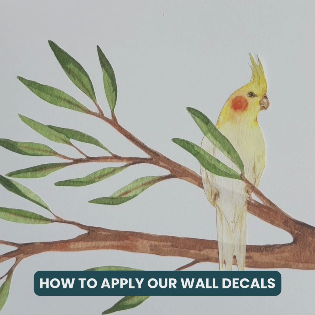 Australian Bird Trio Wall Decals (Pink & Yellow Cockatoos + Magpie)