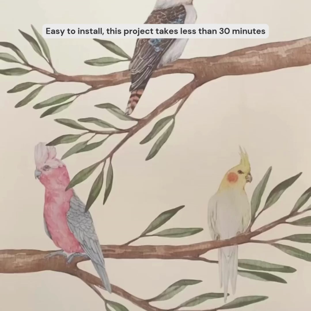 Load video: Australian Gum Tree Branch &amp; Bird Wall Decals