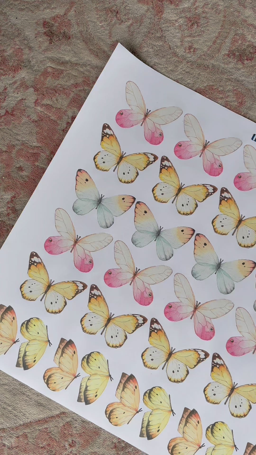 Load video: Mixed Butterfly Wall Decals Nursery Wall Decals