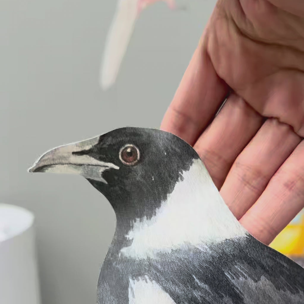 Australian Bird Trio Wall Decals (Pink & Yellow Cockatoos + Magpie)