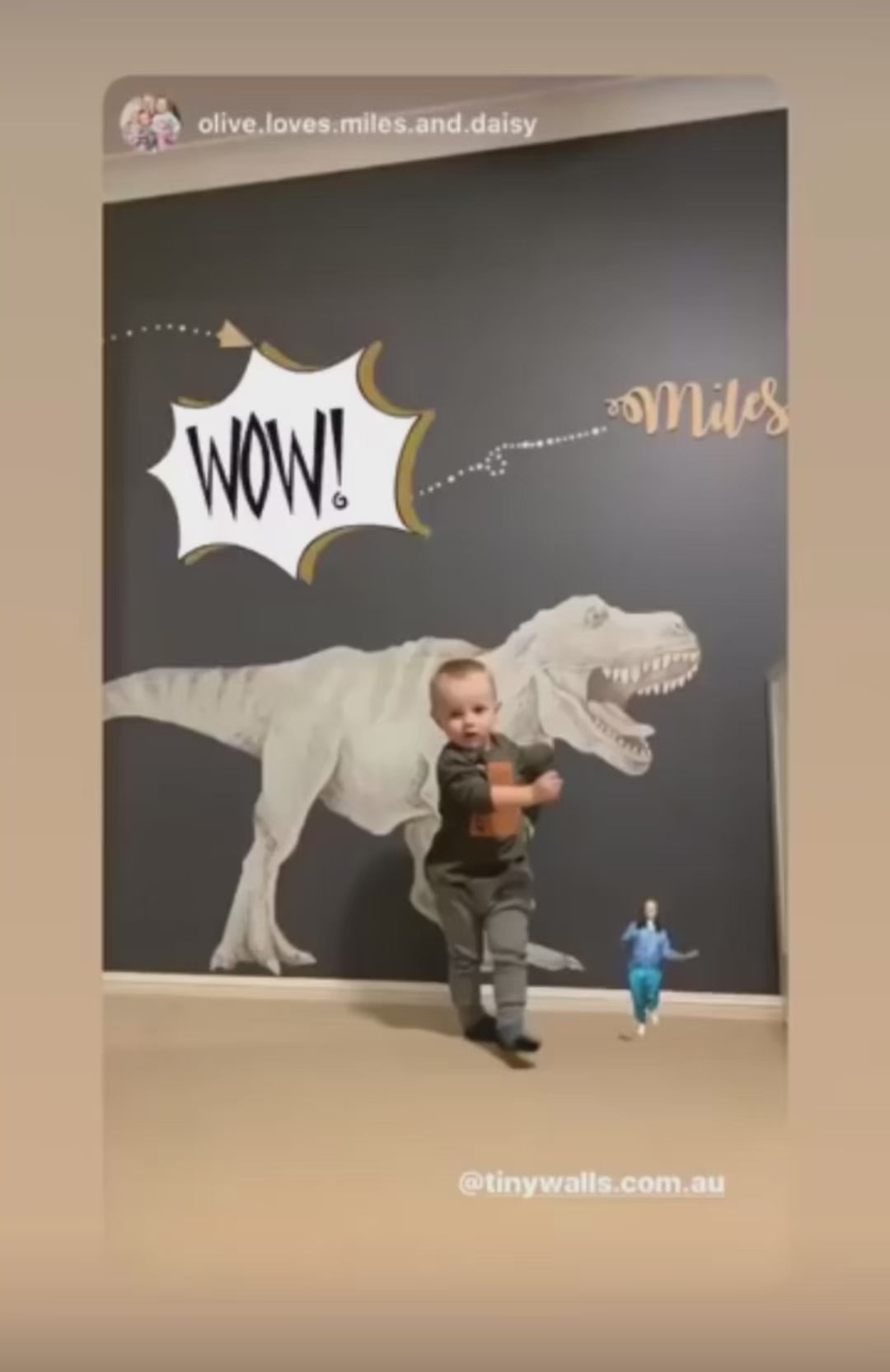 Load video: Tyrannasaurus Rex Trex Dinosaur Wall Decals