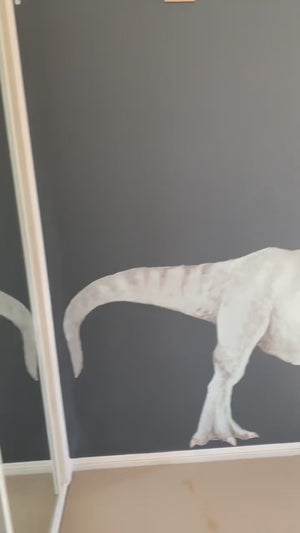 Removable Wall Decals 