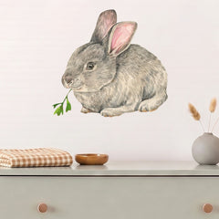 Removable Wall Decals 