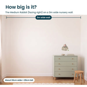 Removable Wall Decals 