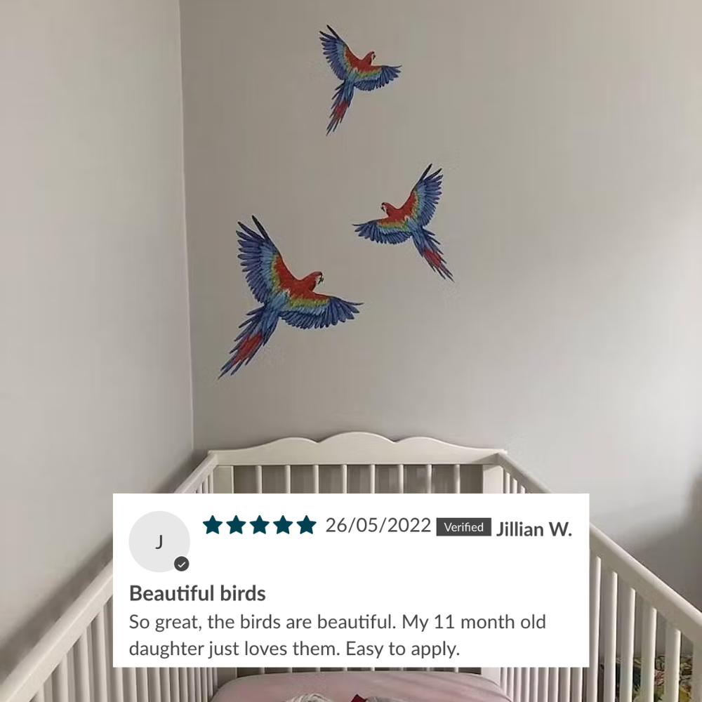 Customer photo of parrot wall decals in a nursery