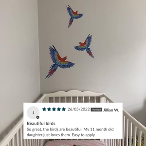 Removable Wall Decals 