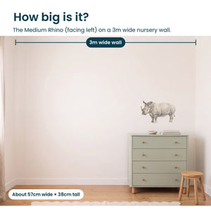 Removable Wall Decals 