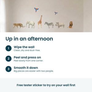 Removable Wall Decals 