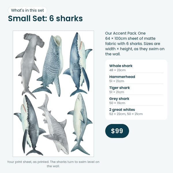 Shark Small Set print sheet and sizes