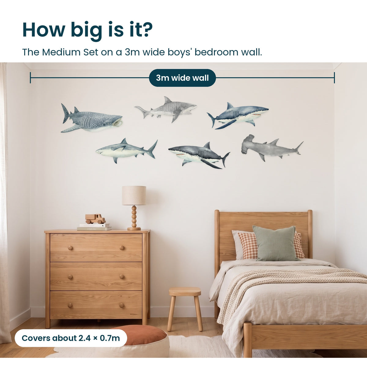 How big is the shark Medium Set on a 3m wall