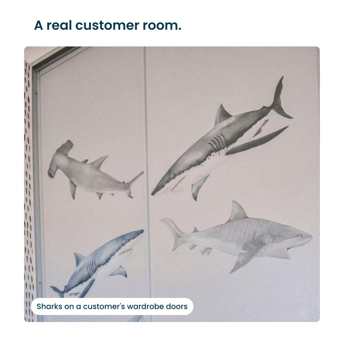 Real customer room with shark decals on wardrobe doors