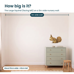 Removable Wall Decals 
