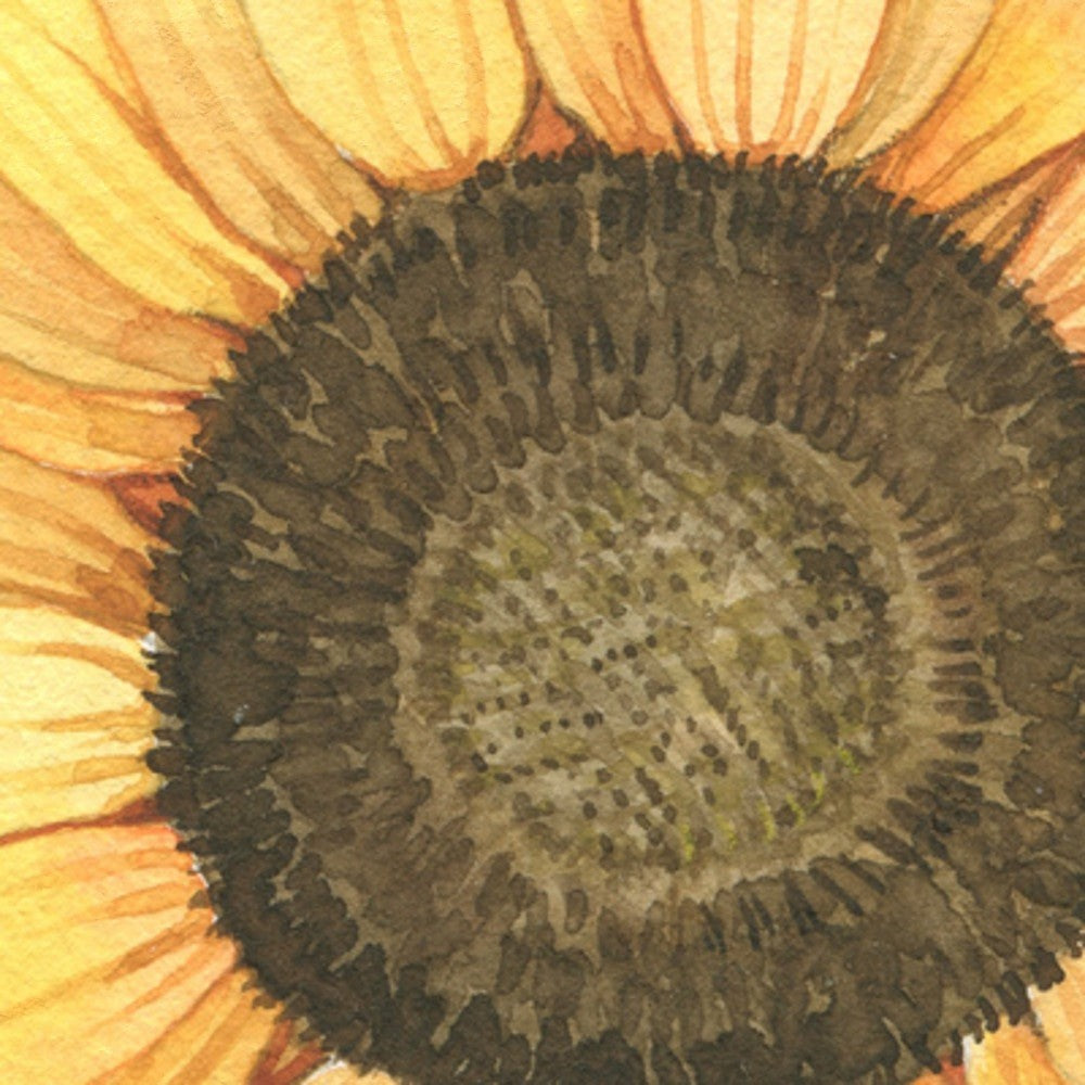 Close-up of the hand-painted watercolour sunflower centre