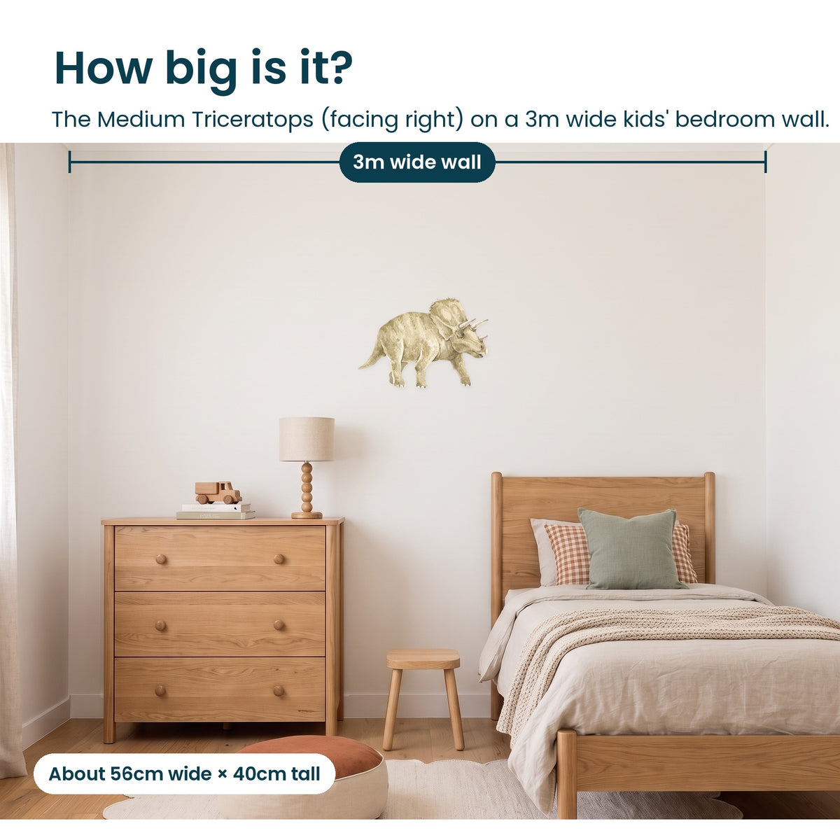 Medium triceratops facing right shown to scale on a 3m kids' bedroom wall