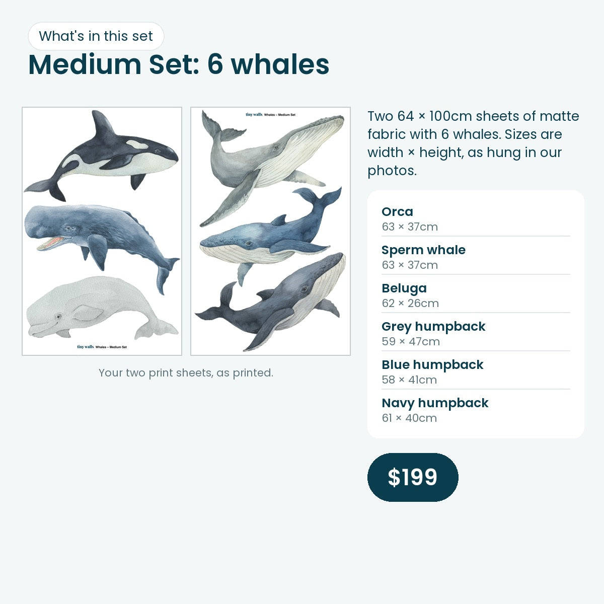 Whale Medium Set print sheets and sizes