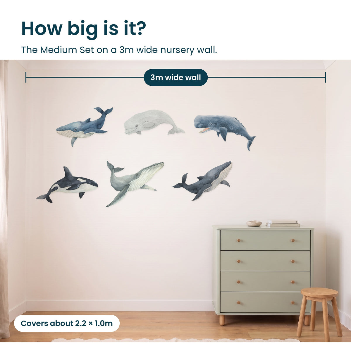 How big is the whale Medium Set on a 3m wall
