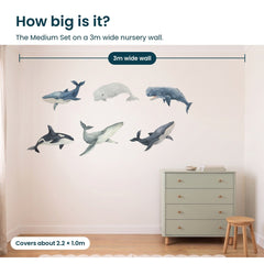 Removable Wall Decals 