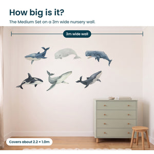 Removable Wall Decals 