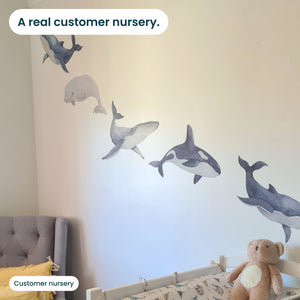 Removable Wall Decals 